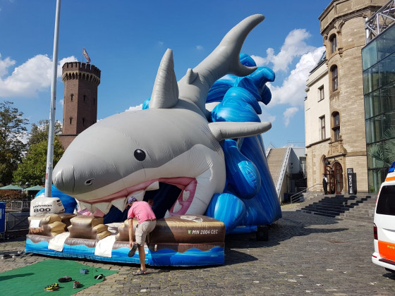 Haie-Sommerfest 2019